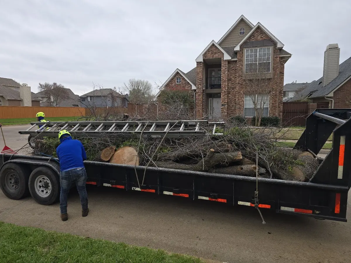 Expert Tree Fertilization with proper safety equipment in Moyock
